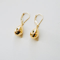 Fancy 14k Yellow Gold Faceted Dangly Earrings EJER0962