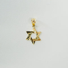Solid 14K Yellow gold Star of David Charm EJCM1508